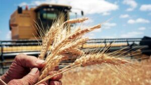 Graincorp