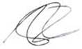 Jim Rickards Signature