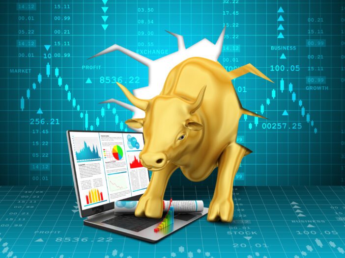 gold bull market investment