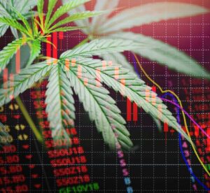 ASX AGH - Althea Share Price
