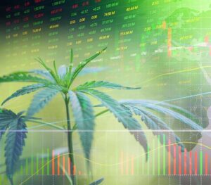 ASX Cannabis Stocks Down - Time to Invest?