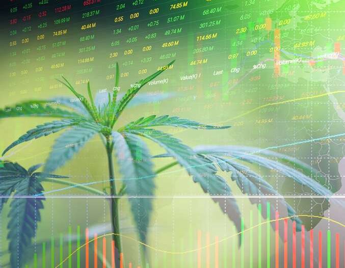 ASX Cannabis Stocks Down - Time to Invest?