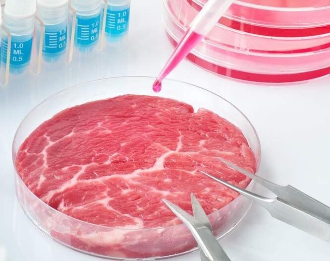 Lab Grown Meat - 3D Printed Food - Beyond Meat