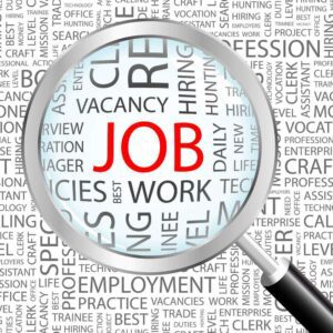 ASX SEK Share Price - Seek Shares