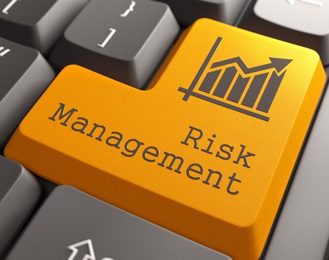 Risk Management for Investors