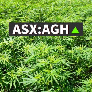 ASX AGH - Althea Group Share Price
