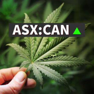 Cann Group Share Price - ASX CAN