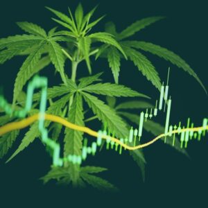 ASX Cannabis Stocks - Marijuana Stocks Australia