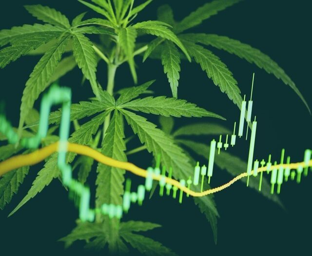 ASX Cannabis Stocks - Marijuana Stocks Australia