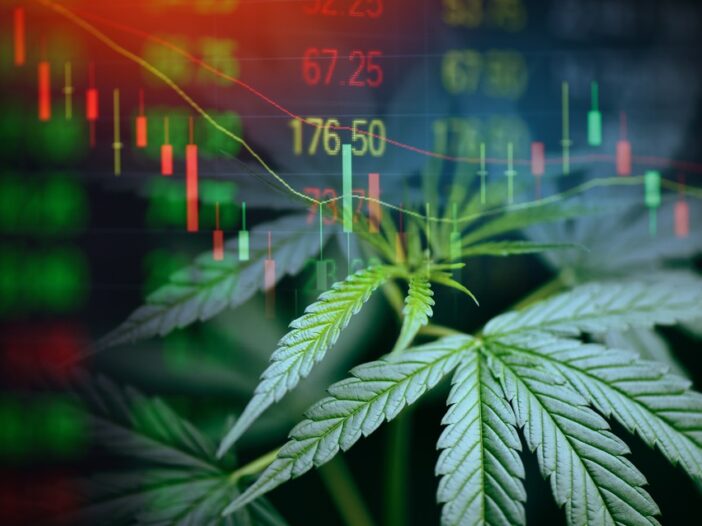 Cannabis Stocks on the ASX