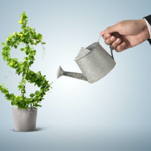 Appeal of Small Cap Stocks - Investing in Small Caps