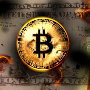 The Future of Money - Global Monetary System and Bitcoin