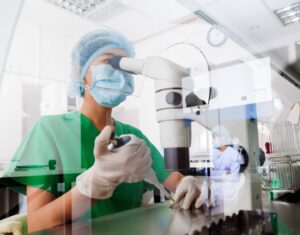 ASX NOX - Noxopharm Shares