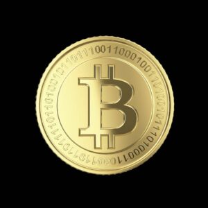 The Streets Will Soon Be Paved with Bitcoin - Bitcoin Versus Gold