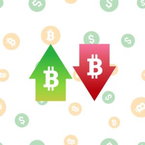 Did Smart Money Buy the Bitcoin Dip? What about Inflation?