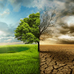 decarbonisation and green energy investments