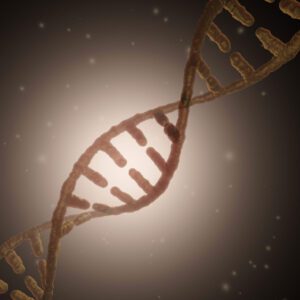 GM and genetic modification investment stocks