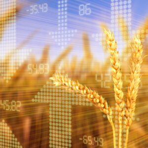 global markets and food prices 2022