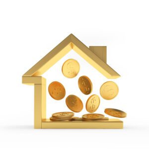 investment opportunity 2022