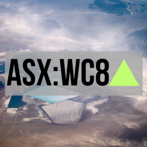 ASX:WC* wildcat resources ticker