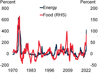 food and energy prices