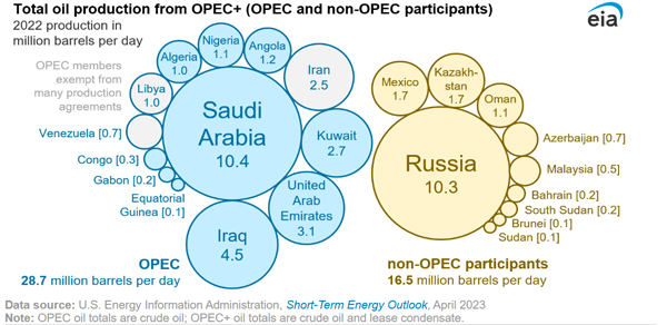 OPEC+ members