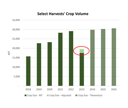 ASX:SHV crop volume chart