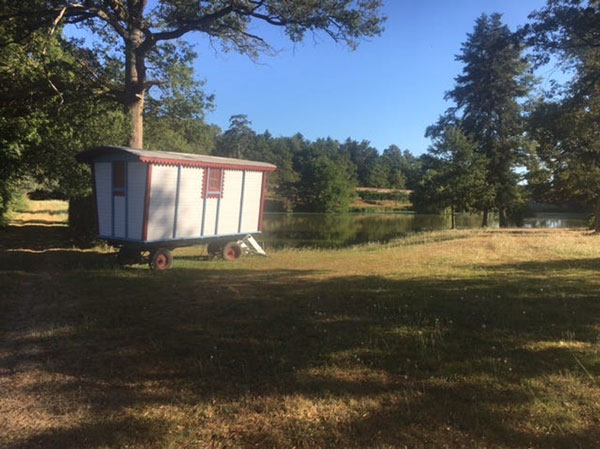 Fat Tail Investment Research