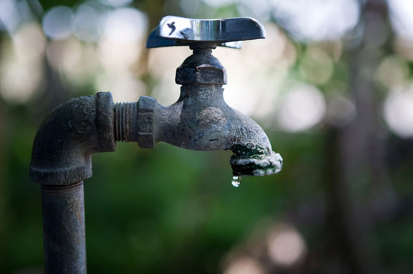 Fat Tail Investment Research