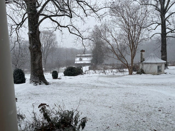 Fat Tail Investment Research