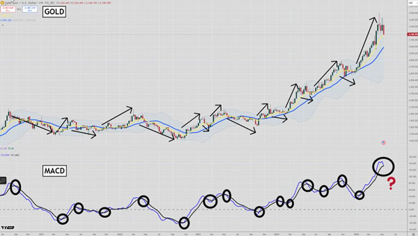 Fat Tail Investment Research