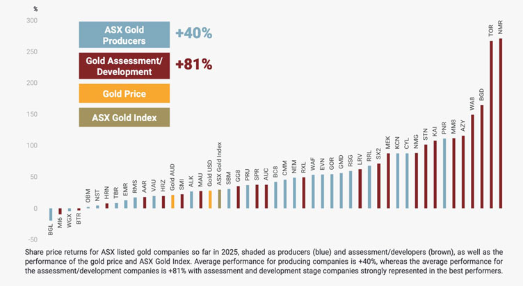 Fat Tail Investment Research