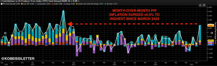 Fat Tail Investment Research